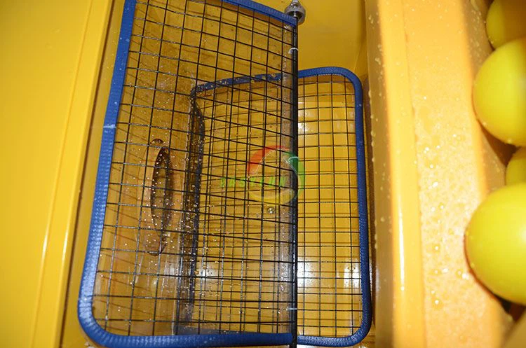 wash ball pool machine